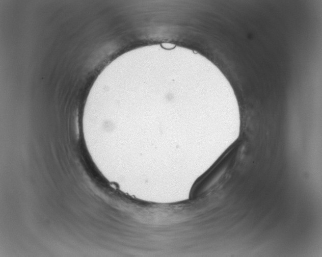 X0000076420020200611031825