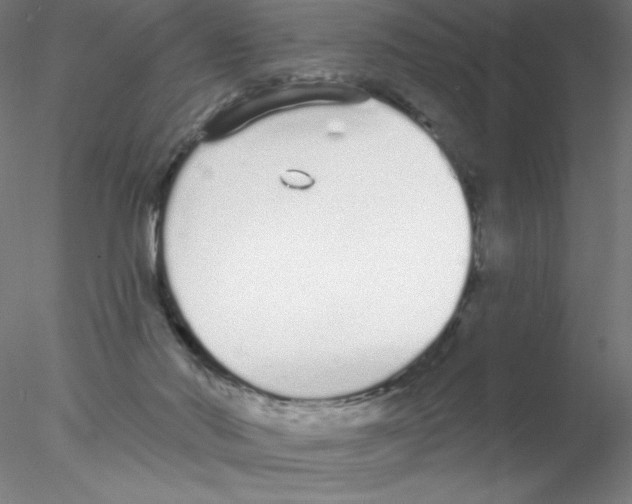 X0000076420022200611031825