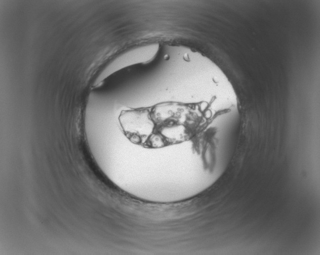 X0000076420023200611031825