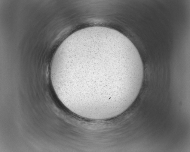 X0000076420024200611031825