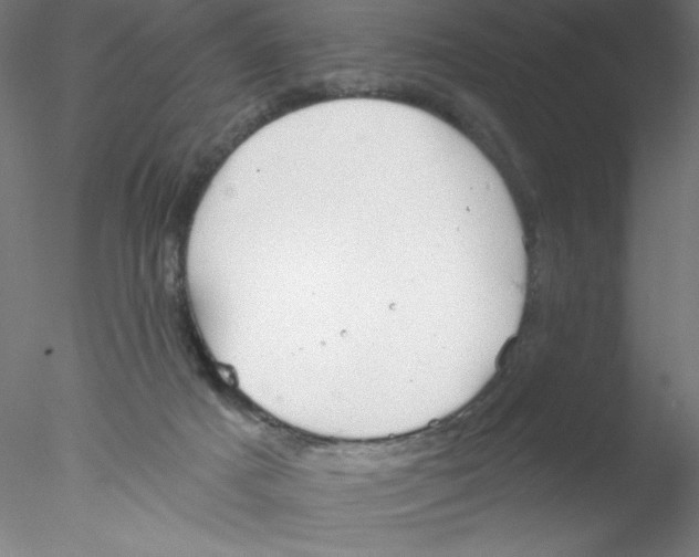 X0000076420025200611031825