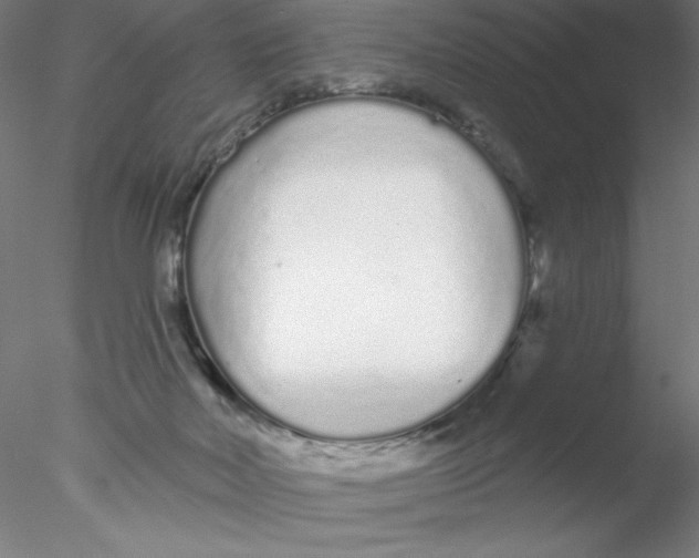 X0000076420026200611031825