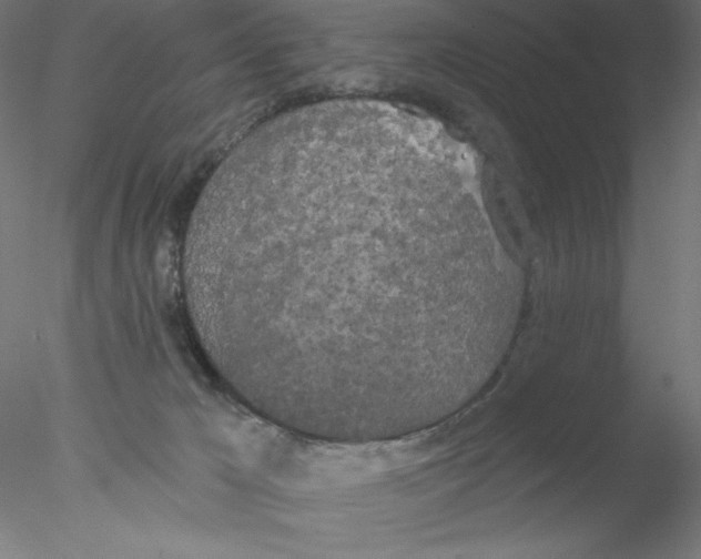 X0000076420029200611031825