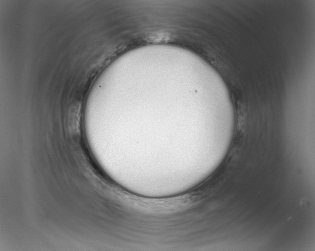 X0000076420030200611031825