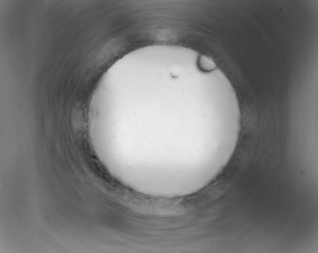 X0000076420032200611031825