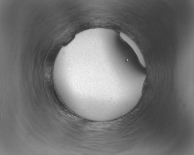 X0000076420033200611031825