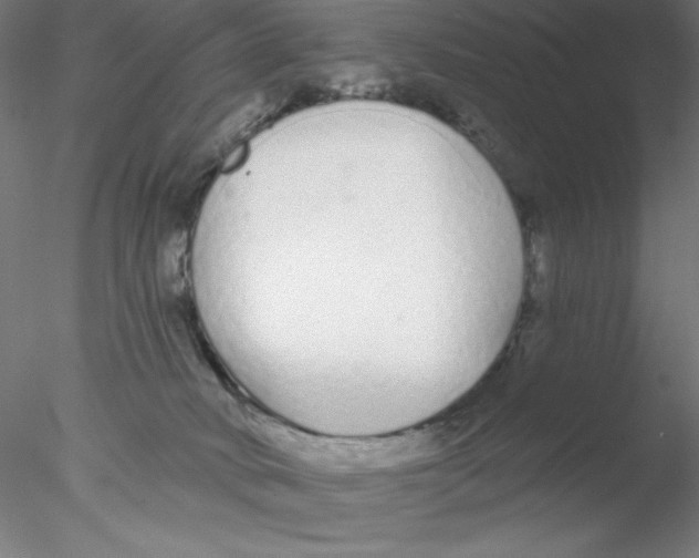 X0000076420034200611031825