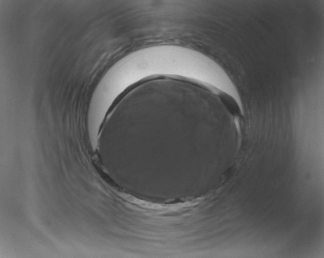 X0000076420035200611031825