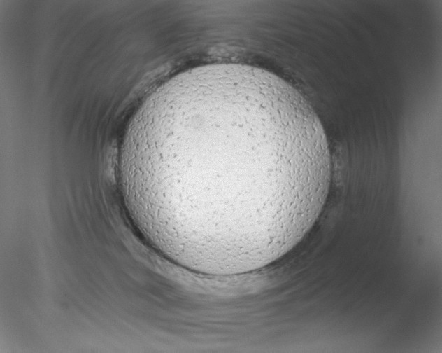 X0000076420038200611031825