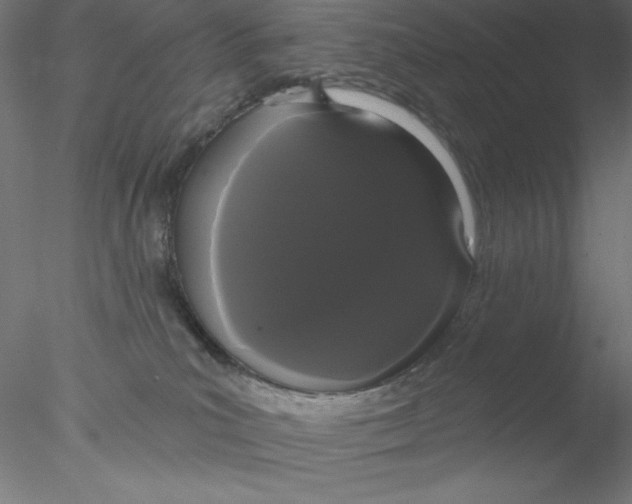 X0000076420039200611031825