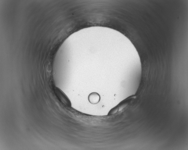 X0000076420040200611031825