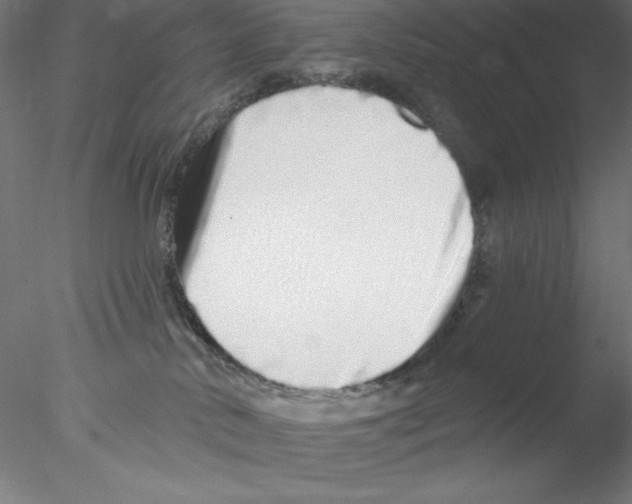 X0000076420042200611031825