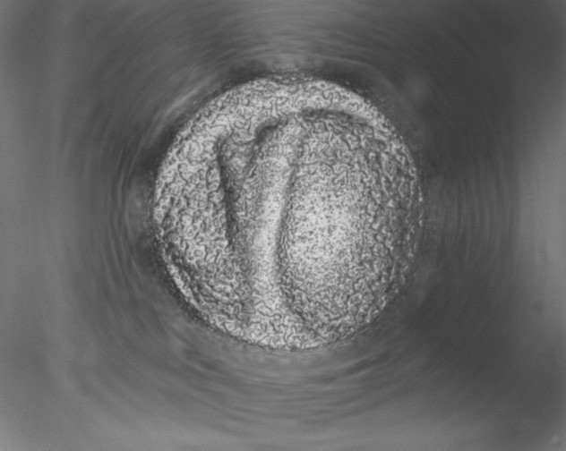 X0000076420043200611031825