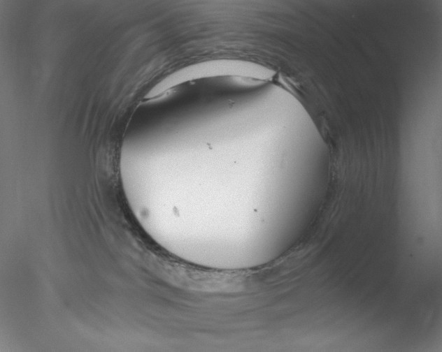 X0000076420044200611031825