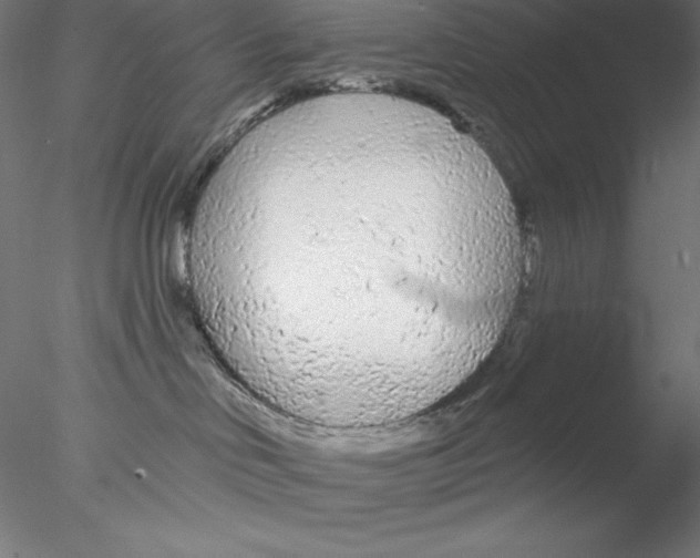 X0000076420046200611031825