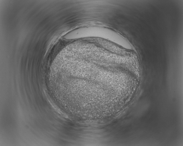 X0000076420049200611031824