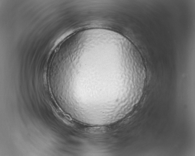 X0000076420050200611031824