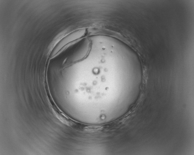 X0000076420051200611031824