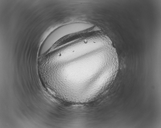 X0000076420052200611031824