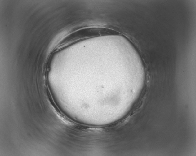 X0000076420053200611031824