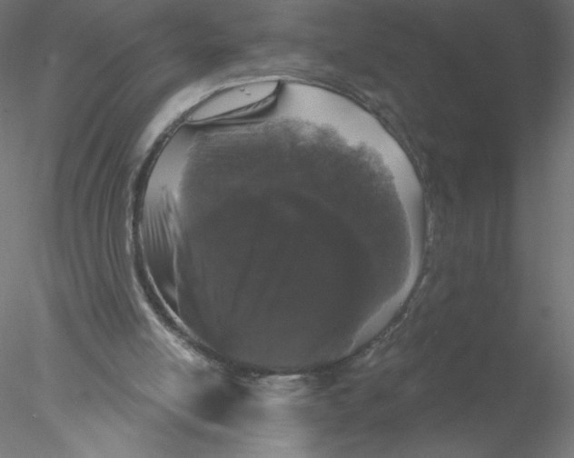 X0000076420054200611031824