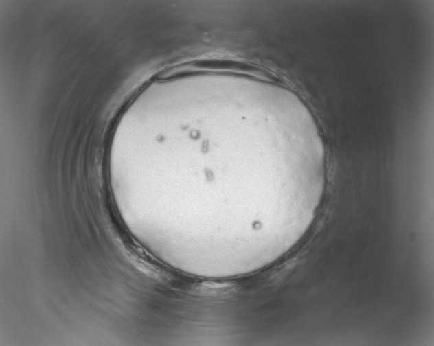 X0000076420055200611031824