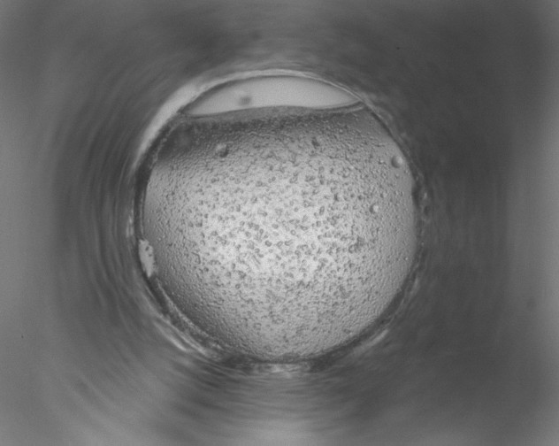 X0000076420056200611031824