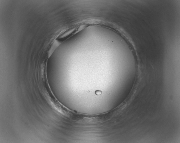 X0000076420057200611031824