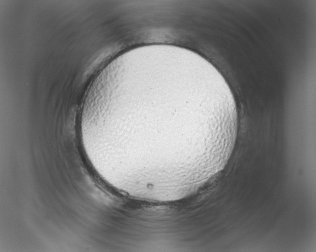 X0000076420058200611031824