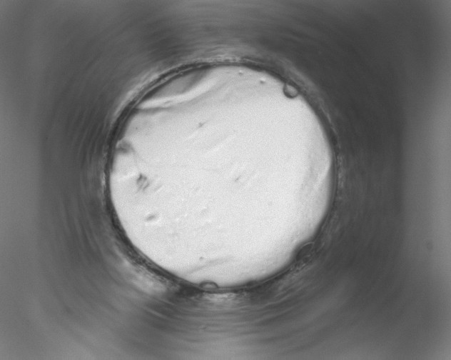 X0000076420059200611031824