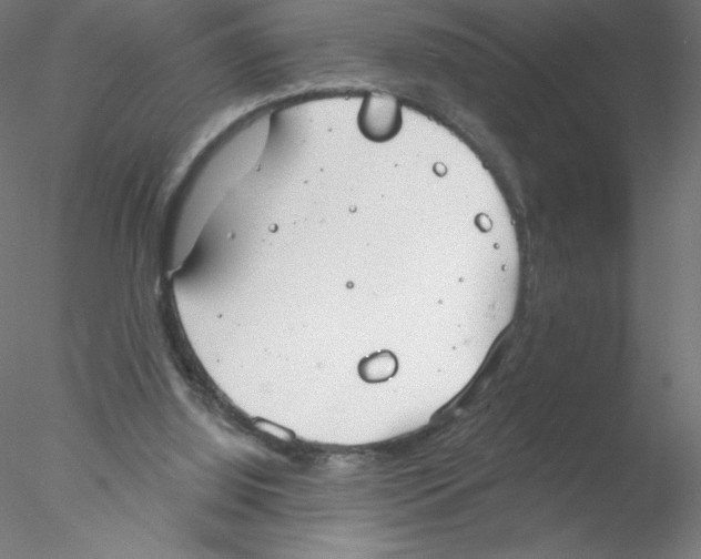 X0000076420060200611031824