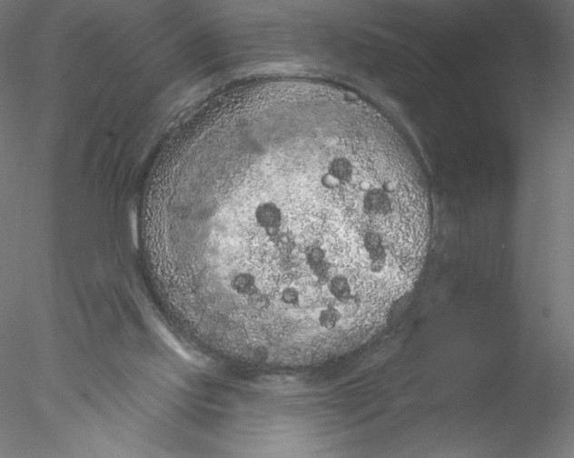 X0000076420061200611031824