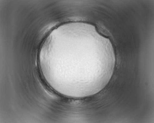 X0000076420062200611031824