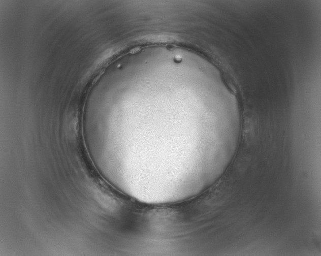 X0000076420063200611031824