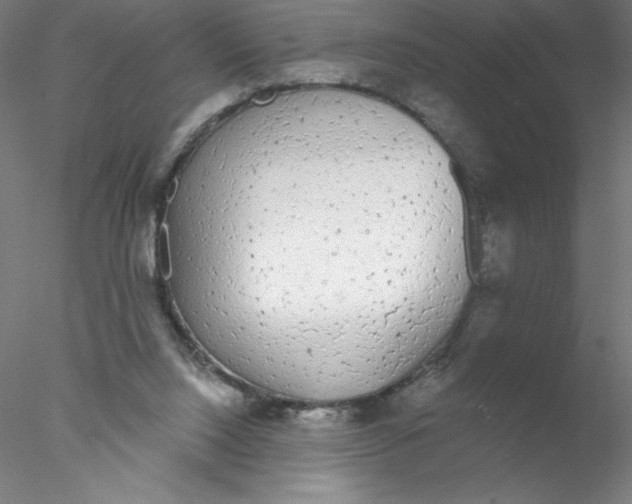 X0000076420064200611031824