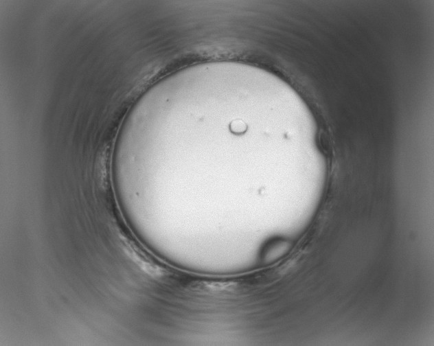 X0000076420065200611031824