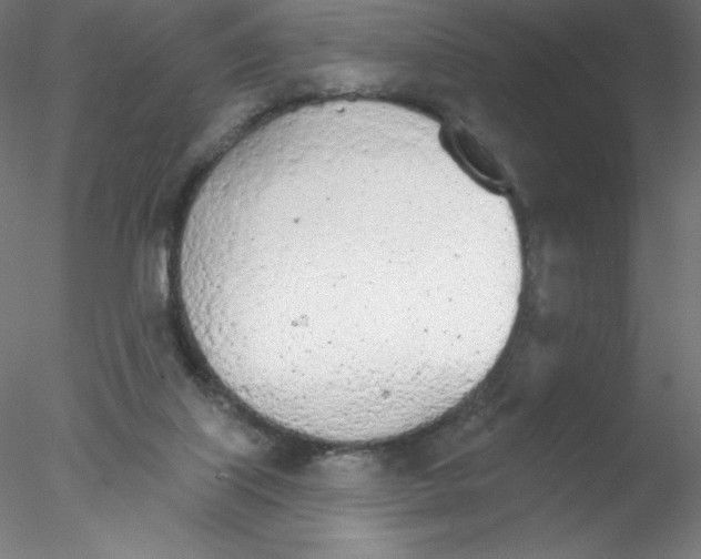 X0000076420067200611031824