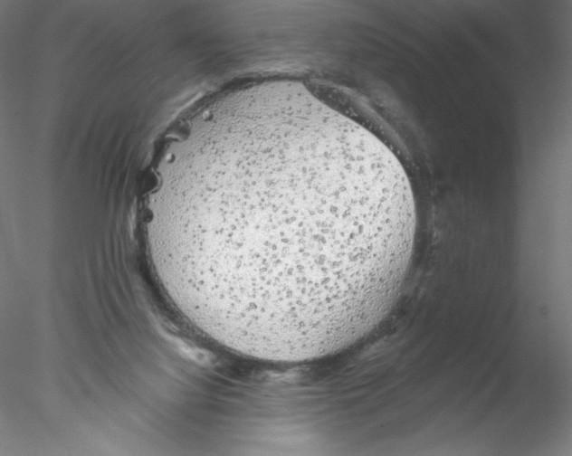 X0000076420068200611031824