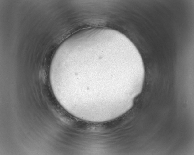 X0000076420069200611031824