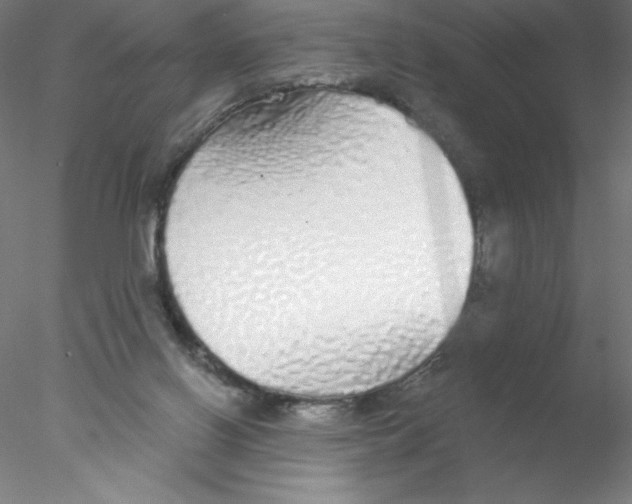 X0000076420070200611031824