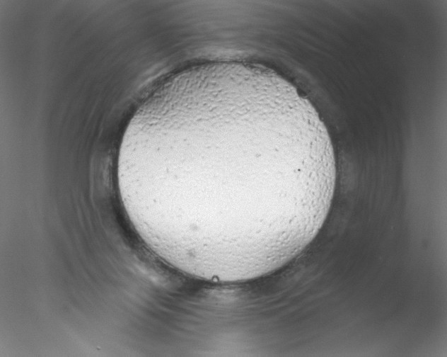 X0000076420071200611031824