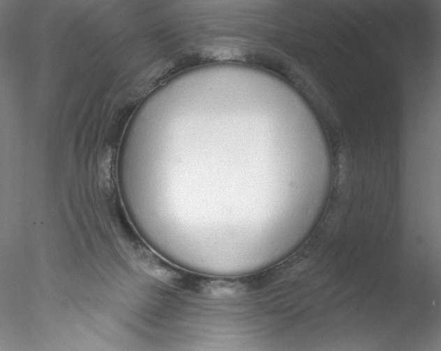 X0000076420073200611031824