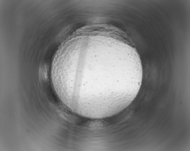 X0000076420075200611031824