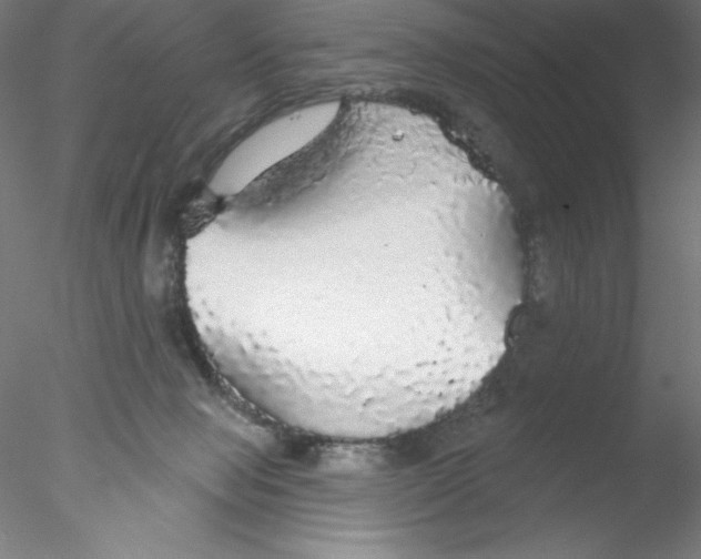 X0000076420077200611031824