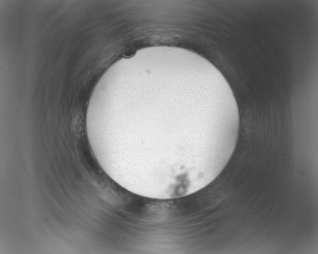 X0000076420079200611031824