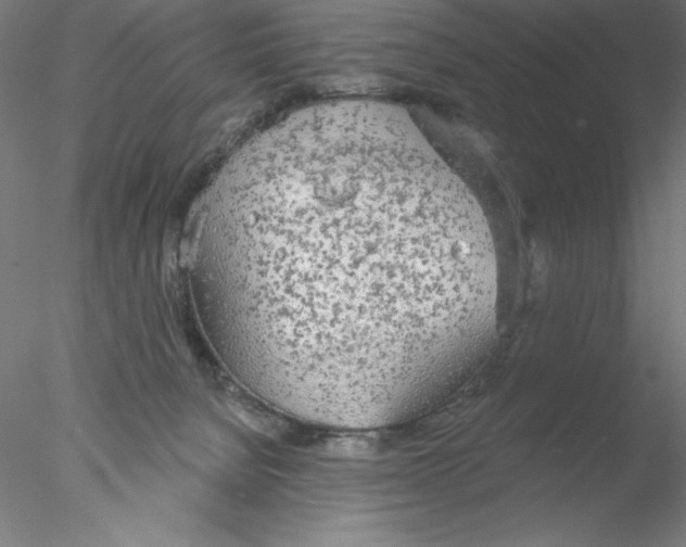 X0000076420080200611031824