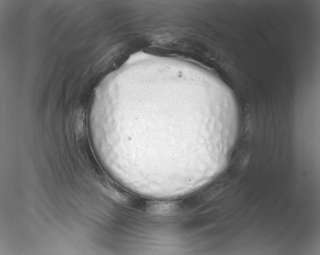 X0000076420081200611031824