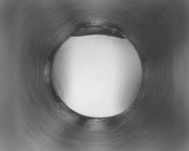 X0000076420082200611031824