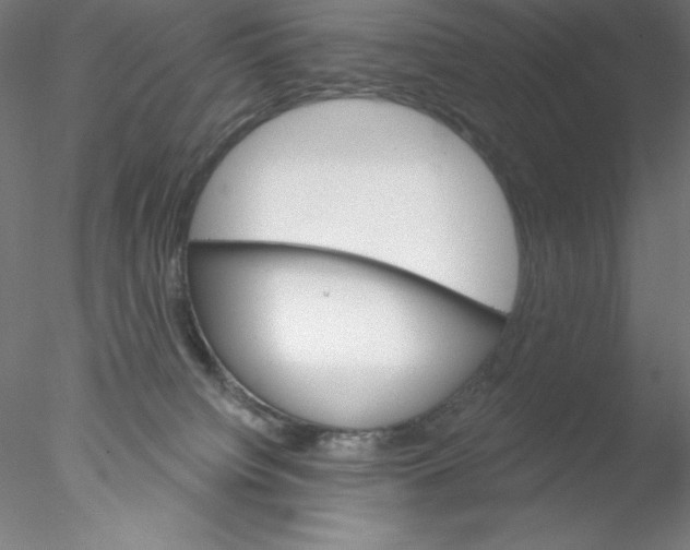 X0000076420084200611031824