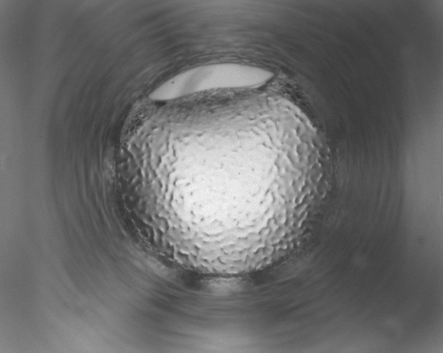 X0000076420085200611031824